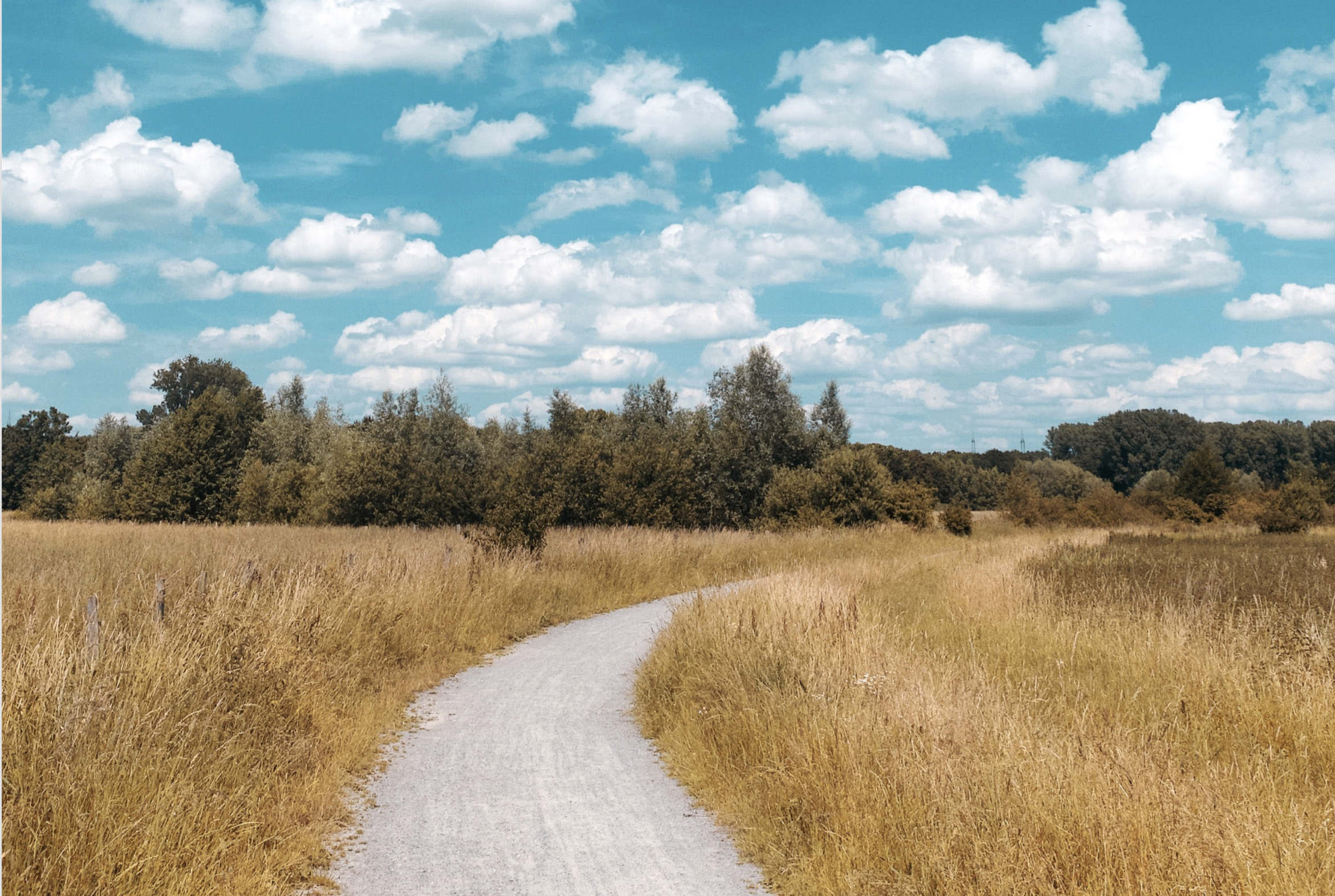 Projektid Eesti regionaaltasandi arengu analüüs