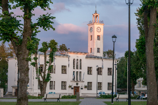 Projektid Viljandi Linnavalitsuse ametikohtade analüüs